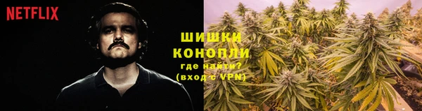 дмт Магас