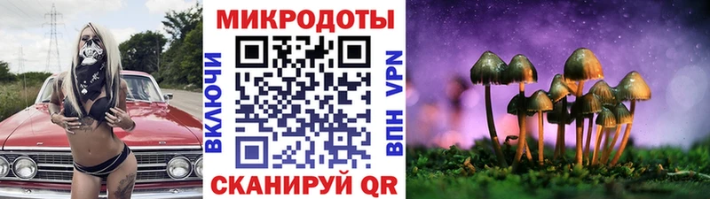 Псилоцибиновые грибы Psilocybe  хочу наркоту  ссылка на мегу как войти  Фокино 